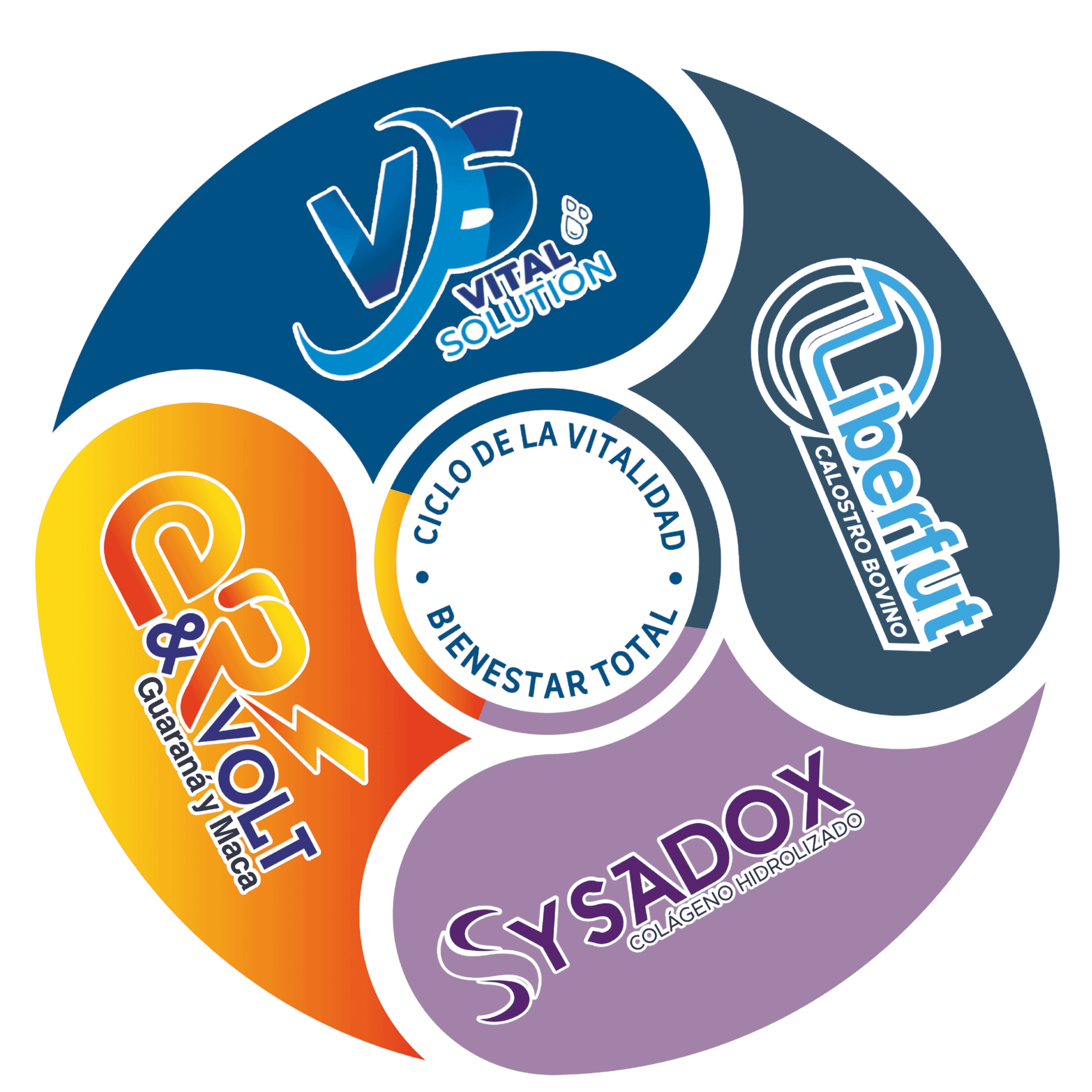 Ciclo de la Vitalidad